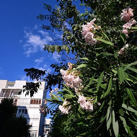 Apartment Paula 스플리트 외부 사진